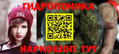 ПСИЛОЦИБИНОВЫЕ ГРИБЫ Сланцы