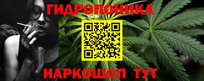 a pvp Славгород