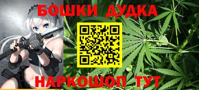a pvp Славгород