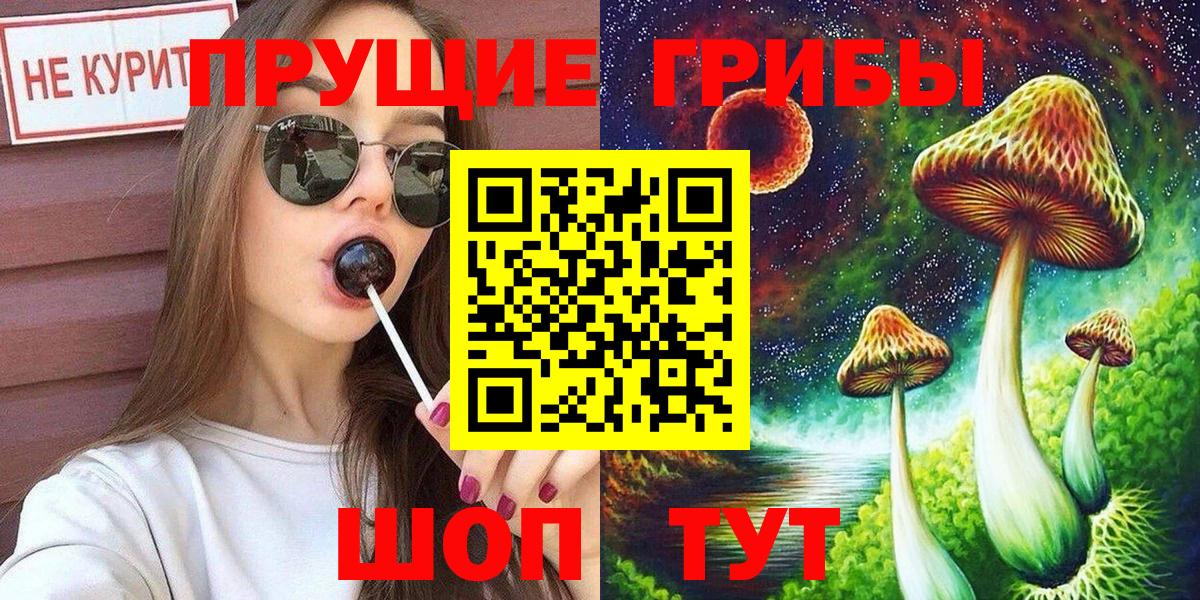 Псилоцибиновые грибы MAGIC MUSHROOMS  что такое наркотик  Вход с VPN  Нальчик  Псилоцибиновые грибы прущие грибы 